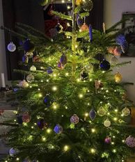 Juletræ